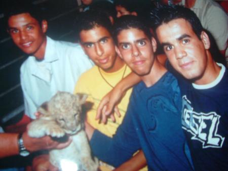 les lions